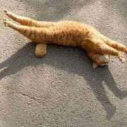 ヒメ日記 2025/09/30 22:13 投稿 体験なな ミセスコレクション