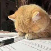 ヒメ日記 2025/10/01 12:14 投稿 体験なな ミセスコレクション