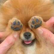 ヒメ日記 2025/10/02 01:53 投稿 体験なな ミセスコレクション