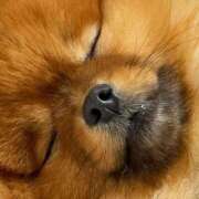 ヒメ日記 2025/10/02 18:18 投稿 体験なな ミセスコレクション