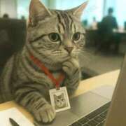 ヒメ日記 2025/10/03 12:07 投稿 体験なな ミセスコレクション