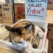 ヒメ日記 2025/10/03 21:23 投稿 体験なな ミセスコレクション