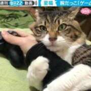 ヒメ日記 2025/10/03 21:43 投稿 体験なな ミセスコレクション