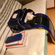 ヒメ日記 2025/10/04 02:13 投稿 体験なな ミセスコレクション