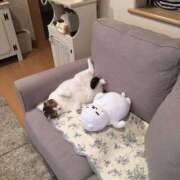 ヒメ日記 2025/10/04 02:30 投稿 体験なな ミセスコレクション