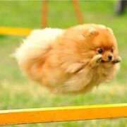 ヒメ日記 2025/10/04 08:13 投稿 体験なな ミセスコレクション