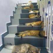 ヒメ日記 2025/10/04 12:08 投稿 体験なな ミセスコレクション