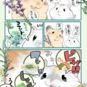 ヒメ日記 2025/10/05 00:23 投稿 体験なな ミセスコレクション