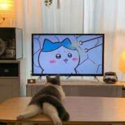 ヒメ日記 2025/10/05 01:01 投稿 体験なな ミセスコレクション