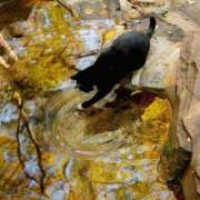 ヒメ日記 2025/10/05 08:03 投稿 体験なな ミセスコレクション