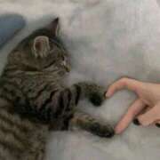 ヒメ日記 2025/10/06 12:08 投稿 体験なな ミセスコレクション