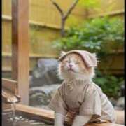 ヒメ日記 2025/10/07 01:33 投稿 体験なな ミセスコレクション