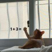 ヒメ日記 2025/10/07 08:13 投稿 体験なな ミセスコレクション