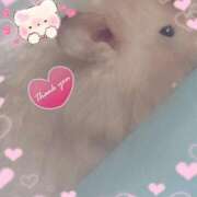 ヒメ日記 2025/10/08 00:33 投稿 体験なな ミセスコレクション