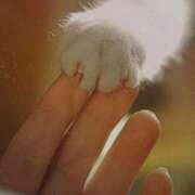 ヒメ日記 2025/10/08 00:42 投稿 体験なな ミセスコレクション