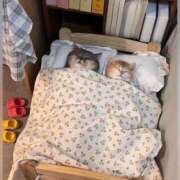 ヒメ日記 2025/10/08 01:13 投稿 体験なな ミセスコレクション