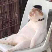 ヒメ日記 2025/10/08 08:13 投稿 体験なな ミセスコレクション