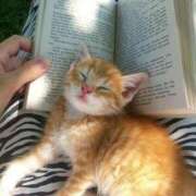 ヒメ日記 2025/10/09 08:13 投稿 体験なな ミセスコレクション