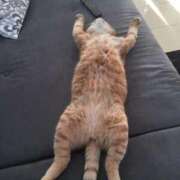 ヒメ日記 2025/10/10 20:13 投稿 体験なな ミセスコレクション