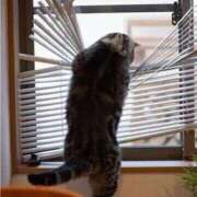 ヒメ日記 2025/10/11 08:13 投稿 体験なな ミセスコレクション