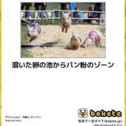 ヒメ日記 2025/10/11 12:08 投稿 体験なな ミセスコレクション