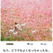 ヒメ日記 2025/10/12 01:23 投稿 体験なな ミセスコレクション