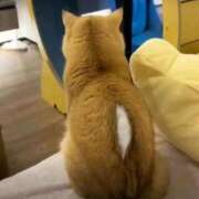 ヒメ日記 2025/10/12 01:53 投稿 体験なな ミセスコレクション