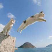 ヒメ日記 2025/10/13 08:13 投稿 体験なな ミセスコレクション