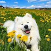 ヒメ日記 2025/10/13 12:09 投稿 体験なな ミセスコレクション