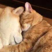 ヒメ日記 2025/10/14 01:03 投稿 体験なな ミセスコレクション