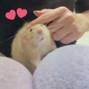 ヒメ日記 2025/10/14 01:23 投稿 体験なな ミセスコレクション