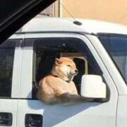 ヒメ日記 2025/10/15 08:13 投稿 体験なな ミセスコレクション