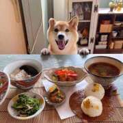 ヒメ日記 2025/10/15 12:13 投稿 体験なな ミセスコレクション