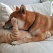 ヒメ日記 2025/10/16 01:34 投稿 体験なな ミセスコレクション