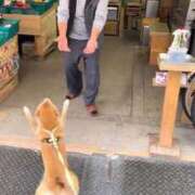 ヒメ日記 2025/10/16 02:04 投稿 体験なな ミセスコレクション