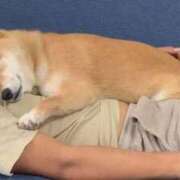 ヒメ日記 2025/10/16 08:13 投稿 体験なな ミセスコレクション