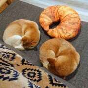 ヒメ日記 2025/10/16 12:08 投稿 体験なな ミセスコレクション