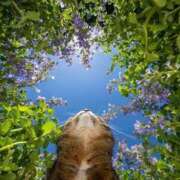 ヒメ日記 2025/10/17 01:26 投稿 体験なな ミセスコレクション