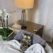 ヒメ日記 2025/10/17 01:43 投稿 体験なな ミセスコレクション