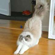 ヒメ日記 2025/10/17 12:07 投稿 体験なな ミセスコレクション