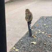 ヒメ日記 2025/10/17 18:20 投稿 体験なな ミセスコレクション