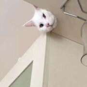 ヒメ日記 2025/10/17 18:54 投稿 体験なな ミセスコレクション