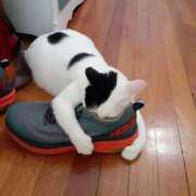 ヒメ日記 2025/10/17 22:13 投稿 体験なな ミセスコレクション