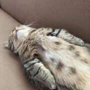 ヒメ日記 2025/10/18 01:13 投稿 体験なな ミセスコレクション