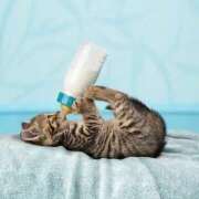 ヒメ日記 2025/10/18 08:13 投稿 体験なな ミセスコレクション