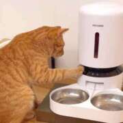 ヒメ日記 2025/10/18 12:08 投稿 体験なな ミセスコレクション