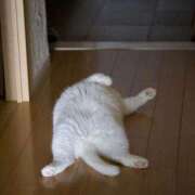 ヒメ日記 2025/10/18 21:42 投稿 体験なな ミセスコレクション