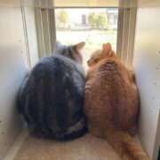 ヒメ日記 2025/10/19 01:25 投稿 体験なな ミセスコレクション