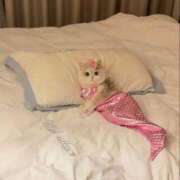 ヒメ日記 2025/10/19 01:43 投稿 体験なな ミセスコレクション