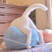 ヒメ日記 2025/10/19 08:13 投稿 体験なな ミセスコレクション